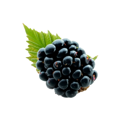 Blackberries