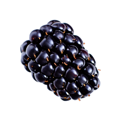 Blackberries